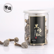 FD freeze dried canned frozen mushroom artificial mushrooms